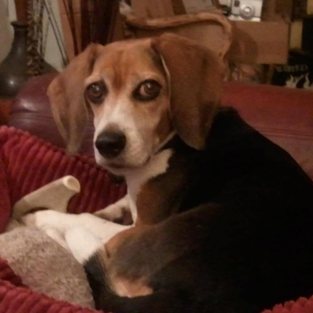 Meet your Posher, Nina